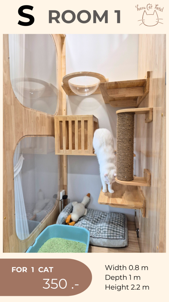 ห้องพัก โรงแรมแมว
