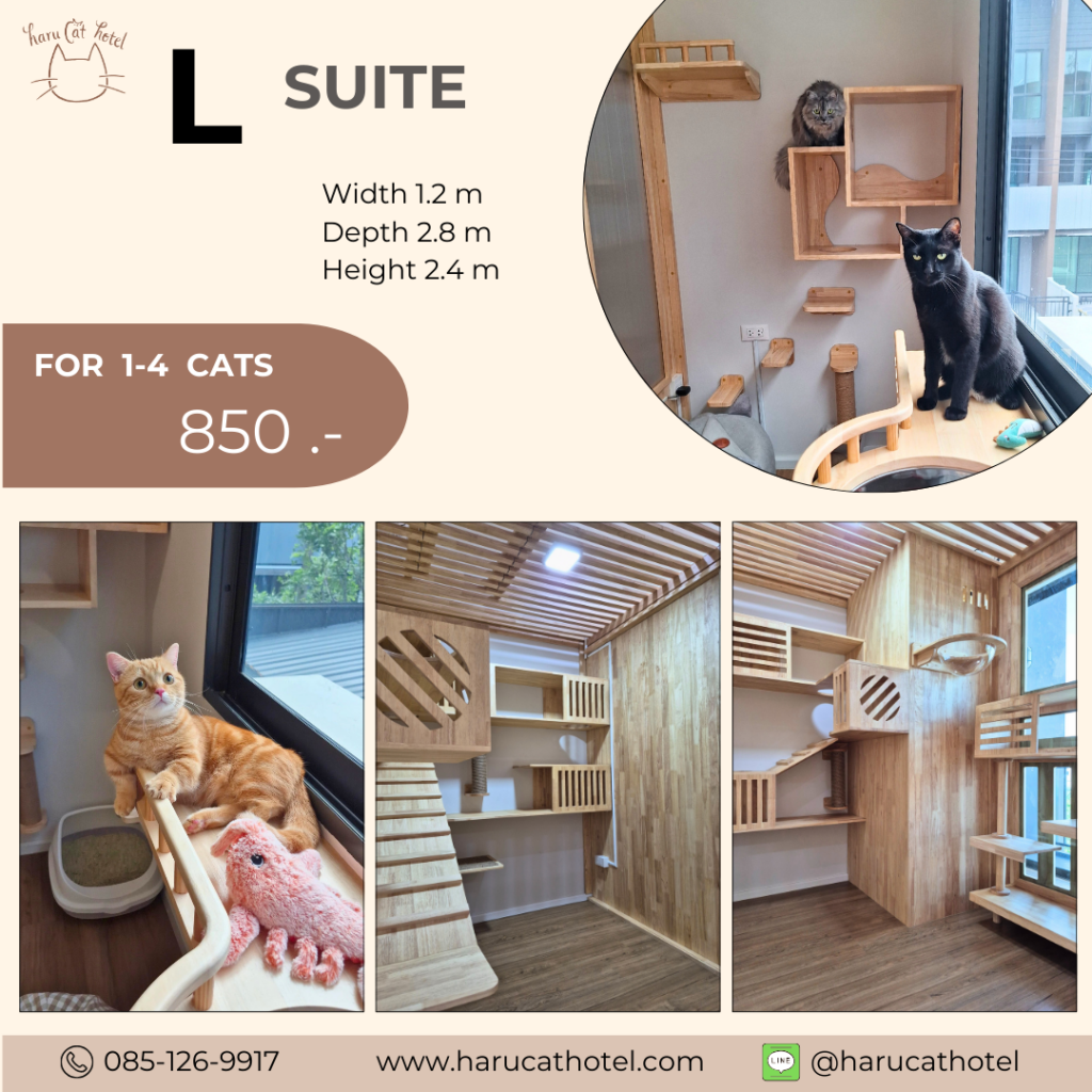 ห้องพัก ขนาดใหญ่