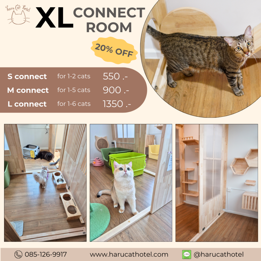 ห้องพัก ขนาดใหญ่สุด