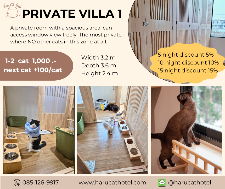 Private villa cat room