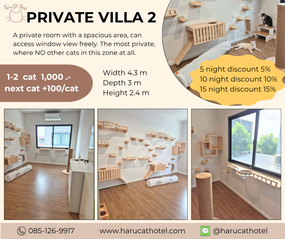 Private villa cat room