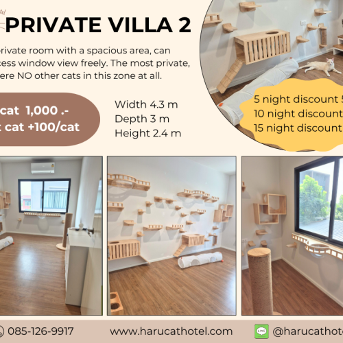 Private villa cat room