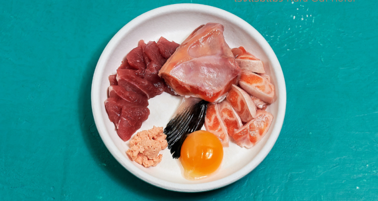raw cat food อาหารแมว ประเภทดิบ