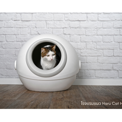automatic cat litter กระบะทรายแมวอัตโนมัติ